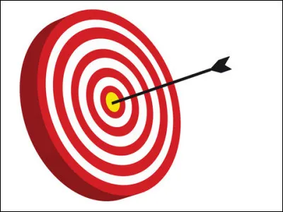 Complétez cette expression : "mettre dans le ...".