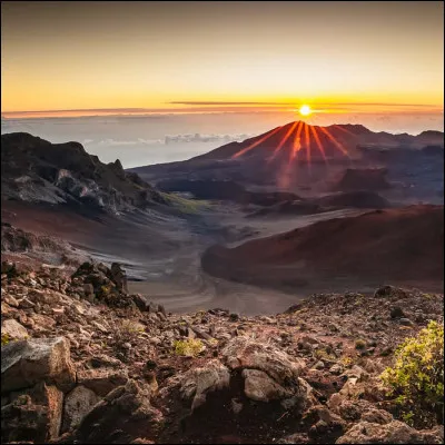 Quelle qualité te correspond le plus parmi celles-ci ?