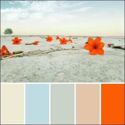 Quelle couleur préfères-tu ?