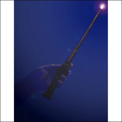 Quel sortilège magique préfères-tu ?