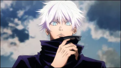 Quel est ton anime préféré parmi ceux-ci ? (1)