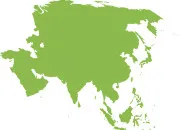 Test Quel plat asiatique devrais-tu goter ?