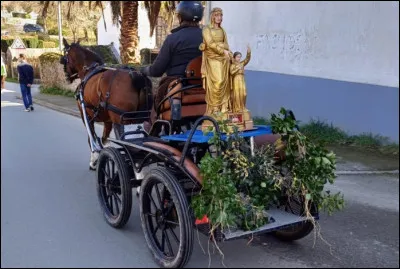 Quel est le nom de cette procession où une statue de Sainte-Anne est tirée par un cheval et une calèche ?
