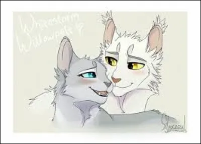 Combien a-t-il eu de compagnes ?