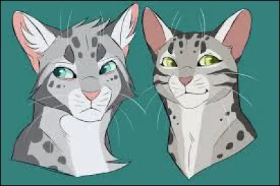 Quels sont les noms finals de tous ses enfants (2)