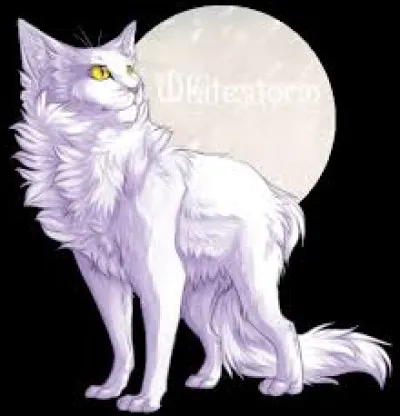 De qui a-t-il été mentor ?