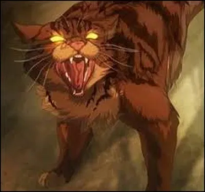 De quelle couleur sont tes yeux ?