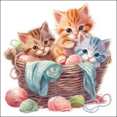 Comment veux-tu appeler tes enfants ?