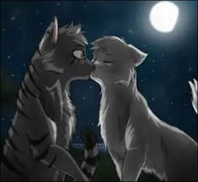 Si tu étais une femelle, avec quel mâle voudrais-tu être en couple ?