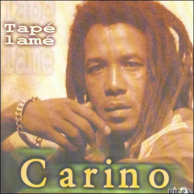 Qui est le chanteur le plus connu du pays, admiré pour avoir mis en avant le seggae ?