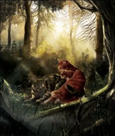 Quel chat ne fait pas partie d'un clan ?