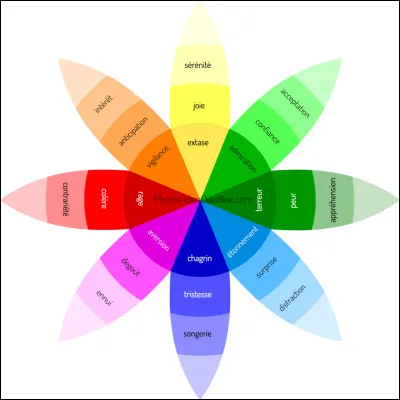 Quelle émotion ressens-tu le plus souvent ?