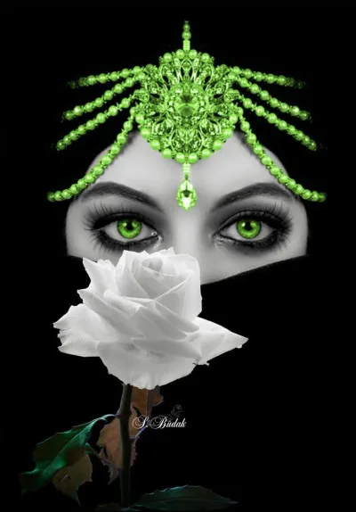 À quel écrivain doit-on ''Le Parfum de la dame en noir" ?