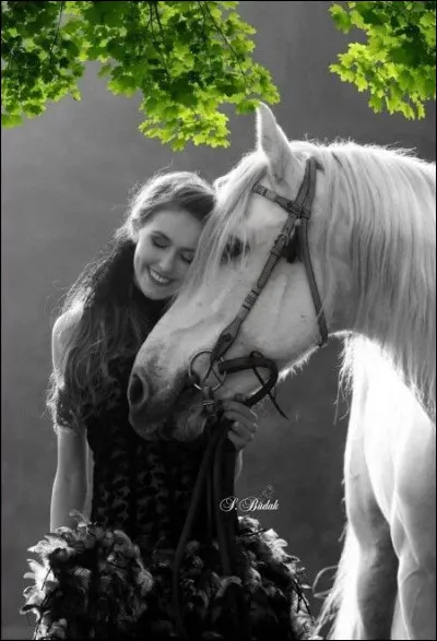 Complétez la chanson : Il s'appelait Stewball, c'était un cheval blanc, il était mon idole, et moi j'avais..."