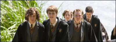 Comment s'appellent les Maraudeurs ?