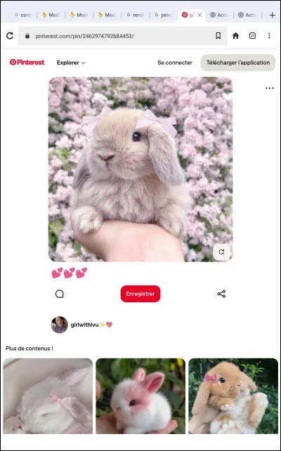 Quel est ton animal préféré ?