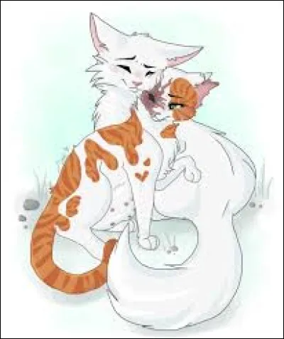 Qu'a fait Flocon de Neige pour elle lorsqu'elle a été défigurée ?