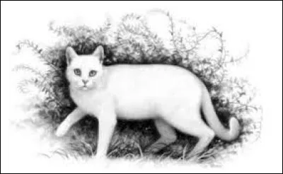 Comment s'appellent les filles ?