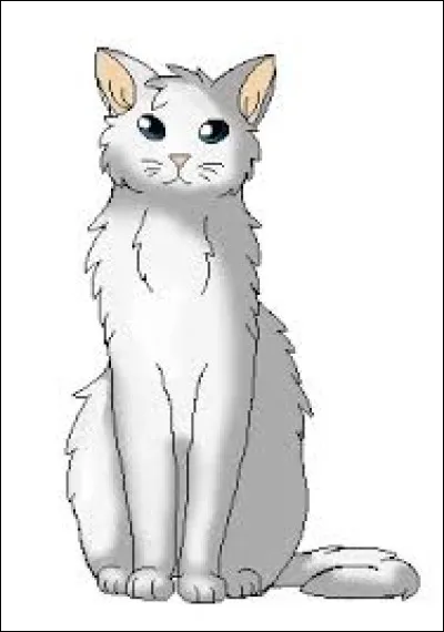 Quel est son grade actuel (dans le dernier livre sorti en France du cycle 7) ?