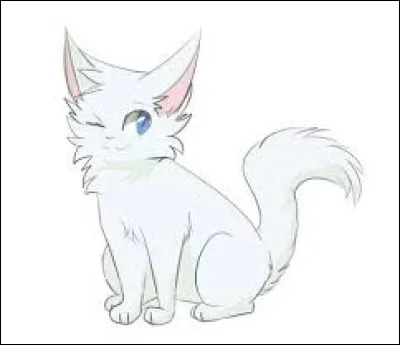 Quel est le nom de chaton de Flocon de neige ?
