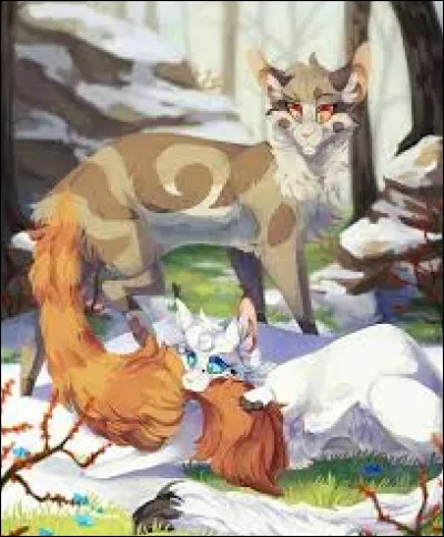 Qu'attrape-t-il quand il est tout jeune chaton ?