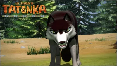 Aimes-tu quand il y a des méchants ?