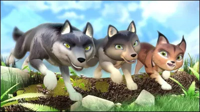 Tu préfères quand les personnages sont...