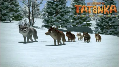 Aimes-tu les documentaires animaliers ?