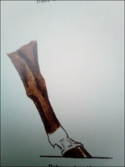 Quelle balzane est représentée sur l'image ?