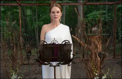 Voici le personnage de Michaela. Dans quelle série Netflix l'aperçoit-on comme sur l'image ?