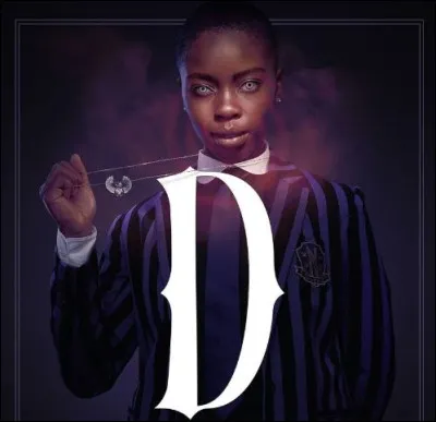 A quelle série Netflix ce poster fait-il référence ? C'est pour la saison 2...