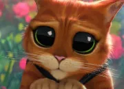 Quiz Les chats clbres en dix questions !