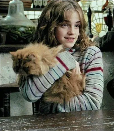 Comment s'appelle le chat d'Hermione dans "Harry Potter" ?