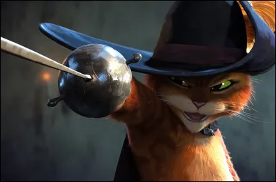 Comment s'appelle ce chat ?