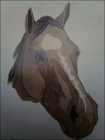 Comment se nomme cet en-tête ?