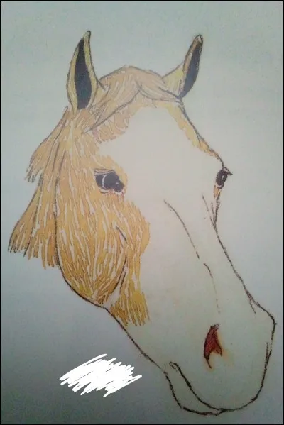 Comment se nomme cet en-tête ?