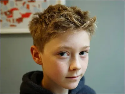 Comme compagnon, tu préfères qu'il ait :