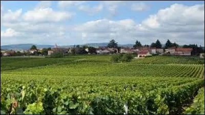 Village viticole du Mâconnais, Clessé se situe dans le département ...