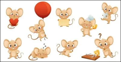 Dans quel lieu pouvez-vous croiser des petits rats ?