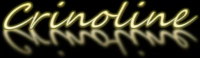 Quest-ce quune crinoline ?