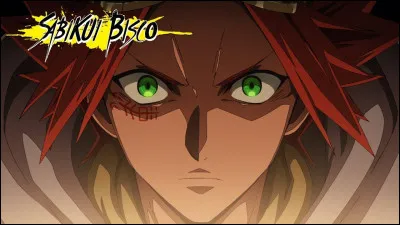 De quel animé vient ce personnage ?