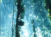 Test Qui es-tu dans ''Avatar'' ?