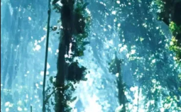 Quiz Test de personnalit