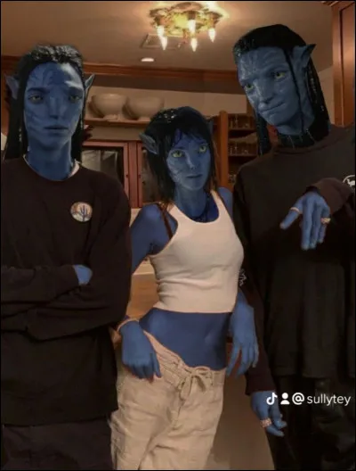 Comment te qualifierais-tu le plus ?