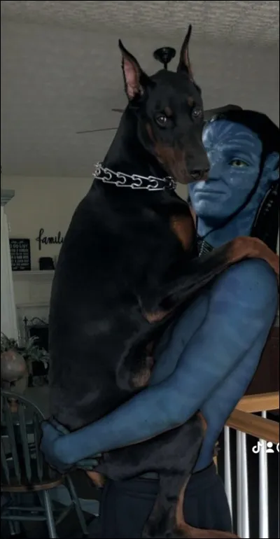 Quelles espèces d’animaux préfères-tu ?