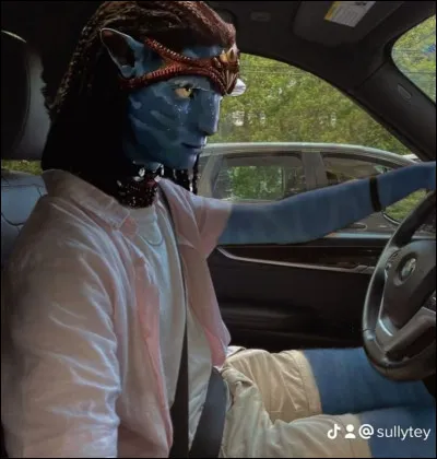 Situation 1 : tu es sur Pandora, avec Neteyam, Lo'ak et Kiri. Vous voyez ceux qui viennent du ciel et ils vous ciblent. Que fais-tu ?