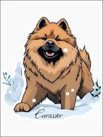 Quels sont les caractères principaux de leurasier ?