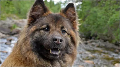 Quelle est son espérance de vie ?