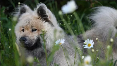 De quoi a-t-il besoin le plus ?