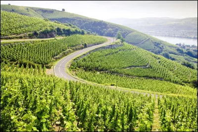 Lequel de ces fleuves français se jette dans la mer Méditerranée ?